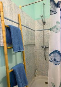 Koupelna v ubytování Trois Rivières T2 avec grande terrasse ombragée vue mer + 19 fotografií