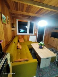 a living room with a green couch and a table at Kuligowka Szklarska Poreba in Szklarska Poręba