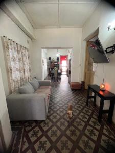 un soggiorno con divano e un cane di Casa Alberdi a Colón Altre 2 foto