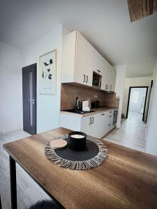 Kuchyň nebo kuchyňský kout v ubytování apartmán Sirka Sušice + 12 fotografií