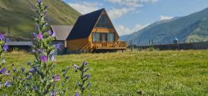 eine Hütte auf einem Feld mit Bergen im Hintergrund in der Unterkunft Mountain hut in Kazbegi in Kazbegi