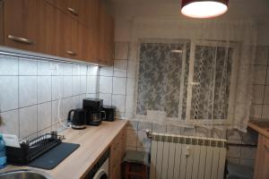 una cucina con lavandino e finestra di Gabry Elle's Cozy Place - Calea Moșilor a Bucarest Altre 30 foto