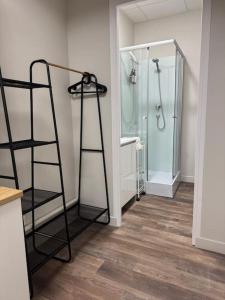a bathroom with a walk in shower and a ladder at Logement centre-ville Muret in Muret