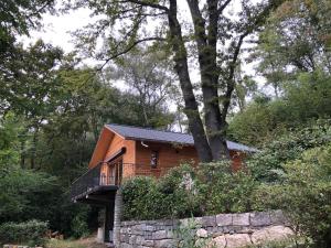 ein kleines Holzhaus mit Balkon in einem Wald in der Unterkunft "La Graziosa" Superior Chalet Rifugio Nel Bosco in Astano