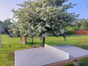 Ogród w obiekcie Modern holiday homes for 8 people with the pool