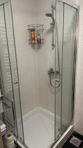 a shower with a glass door in a bathroom at Drazn vrt in Kotor