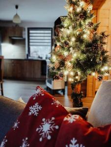 Posezení v ubytování Bieszczadzka Ostoja