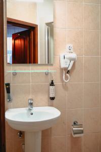 a bathroom with a sink and a mirror at Bark Inn - Bed and Breakfast in Braşov +125 photos
