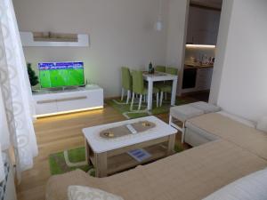 TV a/nebo společenská místnost v ubytování Apartment NDK