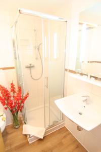 a bathroom with a glass shower and a sink at Landhotel Bergischer Hof GmbH Marialinden in Overath