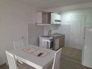 Kuchyň nebo kuchyňský kout v ubytování Apartman Hs + 15 fotografií