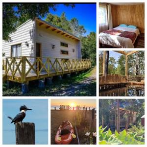 a collage of pictures with a bird sitting on a post at Cabañas Costa Aituy in Queilén