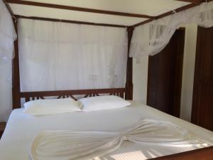 Gallery image of Hotel Coconut Bar Sea Lodge in Beruwala