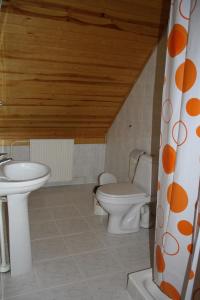 een badkamer met een toilet en een wastafel bij Zīriņi in Kolka
