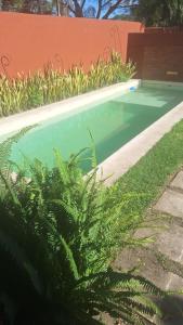 a swimming pool with green plants in a yard at Aire de campo en la ciudad in San Fernando del Valle de Catamarca