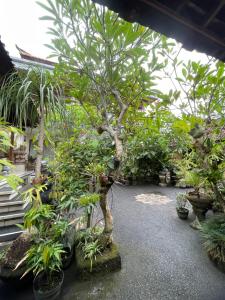 Suntari Homestay外面的花园