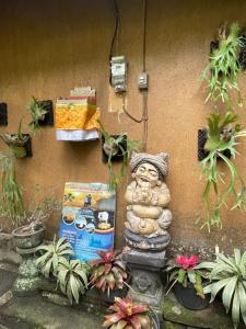 Suntari Homestay外面的花园