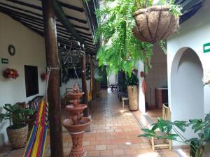 サン・ヒルにあるCasa HOTEL EL MARQUEZの鉢植えの廊下