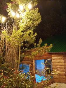 Chalet el Pinar外面的花园