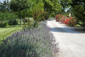 a garden with purple flowers and a dirt road at Les Carmes and spa in Le Thor