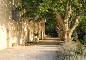 a row of trees on a sidewalk next to a building at Les Carmes and spa in Le Thor