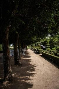 una hilera de árboles en un camino en un parque en The Merribee, Villa Botanica, en Numba