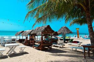 ein Strand mit Stühlen und Sonnenschirmen und das Meer in der Unterkunft Golden Beach Hotel & Restaurant in Trincomalee