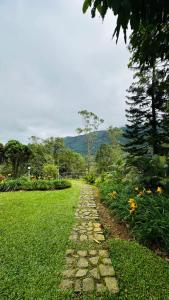 Фотография из галереи Wild Elephant Resort в городе Kallar Vattiyar