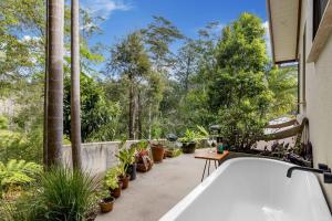 Tree top getaway in town!外面的花园