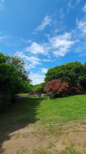 Gallery image of Sunset Bed and Breakfast in Coffee Bay