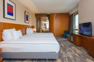 TV a/nebo společenská místnost v ubytování Crowne Plaza Kayseri by IHG