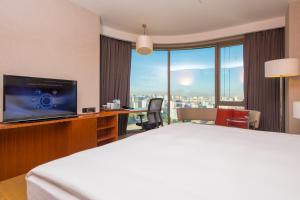 TV a/nebo společenská místnost v ubytování Crowne Plaza Kayseri by IHG