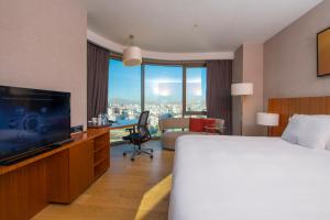 TV a/nebo společenská místnost v ubytování Crowne Plaza Kayseri by IHG