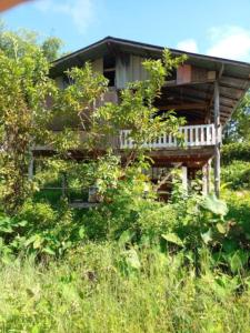 a wooden house with a porch in a field of grass at Farmer house on Beverley hill Pai in Pai