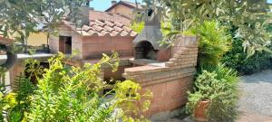 un forno in mattoni in un giardino con piante di House with air conditioning and outdoor private area in Rosignano Marittimo a Rosignano Marittimo