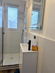 a bathroom with a shower and a bottle of oil on a counter at Studio Cosy, entre Abers & Plages, proche du GR34 in Lannilis