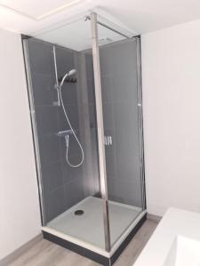 a shower with a glass enclosure in a room at Appartement À deux pas de tout in Issoire