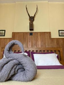 Gallery image of Lily Bank Cottage in Nuwara Eliya