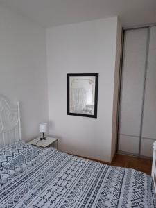 a bedroom with a bed and a picture on the wall at Dina's Place in Podgorica