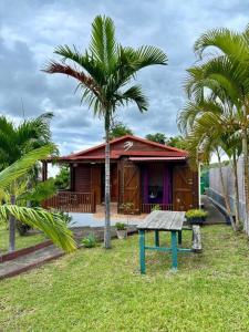 圣路易斯Le chalet du paille en queue的一栋房子，房子前面有一张长椅，旁边是一棵棕榈树。