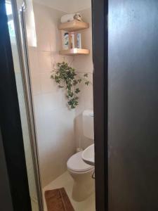 a bathroom with a toilet and a plant in it at Gránás paradise in Gánt