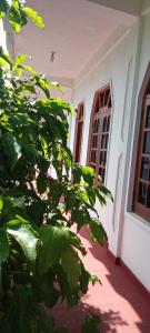 Κήπος έξω από το little rose inn