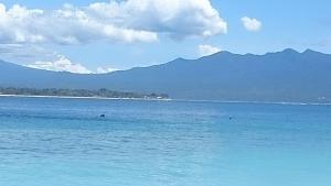 旅馆周边自然景观