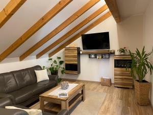 Μια τηλεόραση ή/και κέντρο ψυχαγωγίας στο Ferienwohnungen Haus Elisabeth