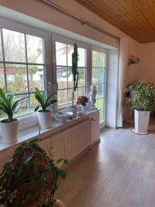Zahrada ubytování Ferienhaus Schaletzki