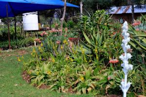 Κήπος έξω από το The Seed Pod Guesthouse