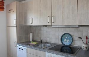 Kuchyň nebo kuchyňský kout v ubytování Ferienhaus Stie Tinningstedt + 6 fotografií