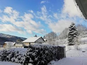 Tannenhof Apartment talvel