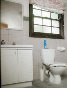une salle de bain avec toilettes, lavabo et fenêtre dans l'établissement Amani Lodge, à Montagu
