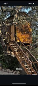 Villanueva del RosarioCabaña del árbol Lavagarural的通往树屋的木楼梯